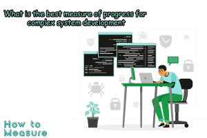 What is the best measure of progress for complex system development?