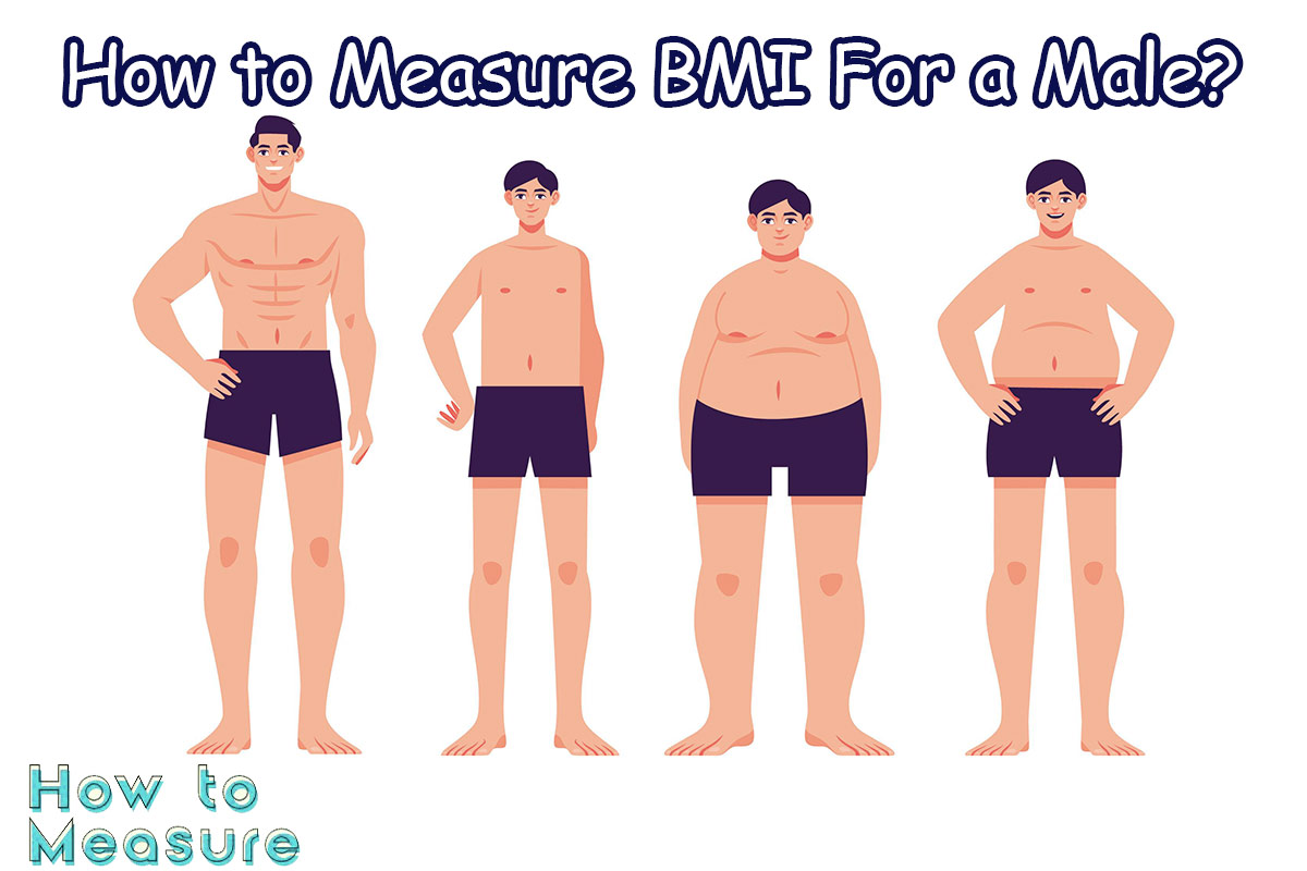 How to Measure BMI For a Male?