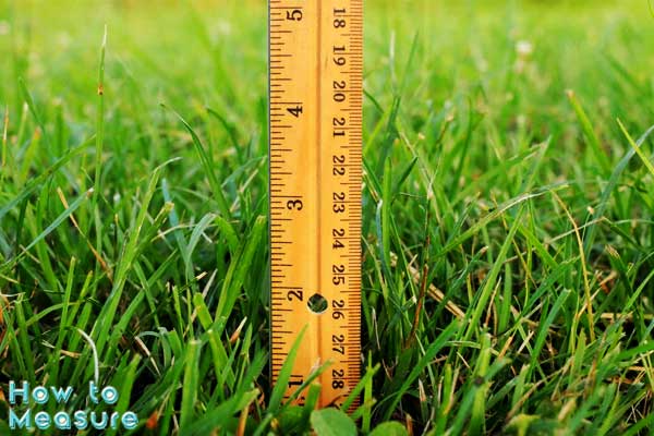 How to measure grass height?