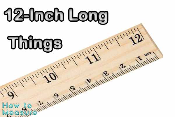 12-Inch Long Things and Objects for Everyday Use"