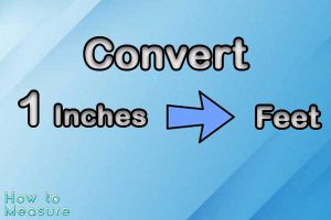 Convert 1 inches to feet