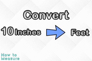 Convert 10 inches to feet