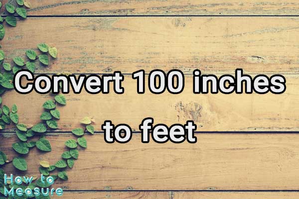 Convert 100 inches to feet