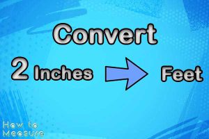 Convert 2 inches to feet