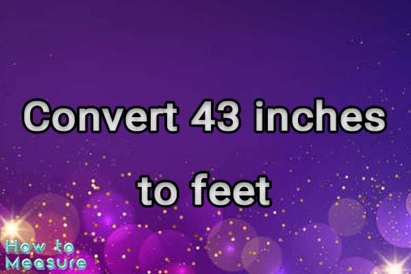Convert 43 inches to feet