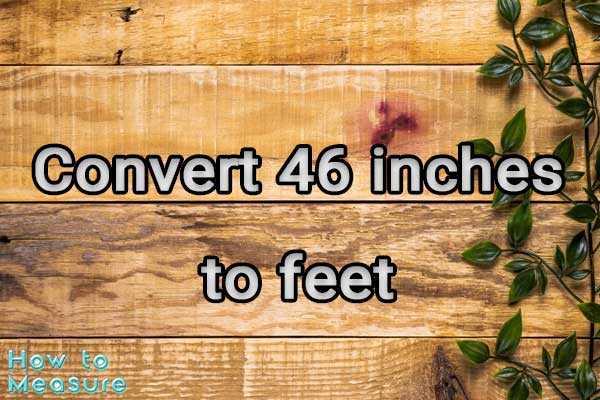 Convert 46 inches to feet