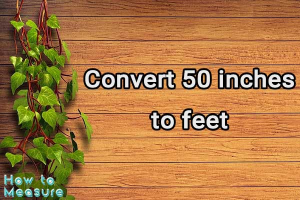 Convert 50 inches to feet