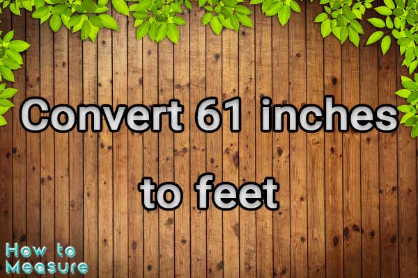 Convert 61 inches to feet