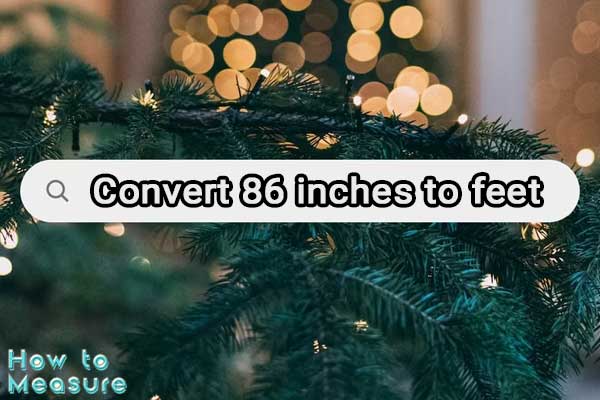 Convert 86 inches to feet