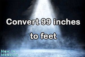 Convert 99 inches to feet