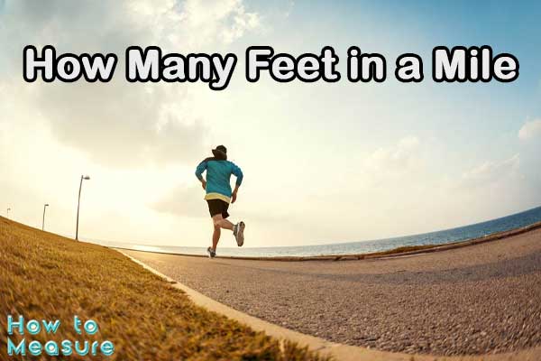 How Many Feet in a Mile