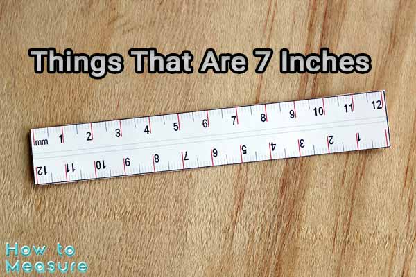 Things That Are 7 Inches