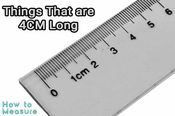 Things That are 4 Centimeters Long