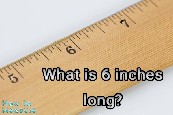 What is 6 inches long?