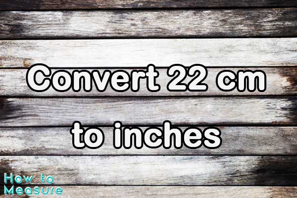 Convert 22 cm to inches