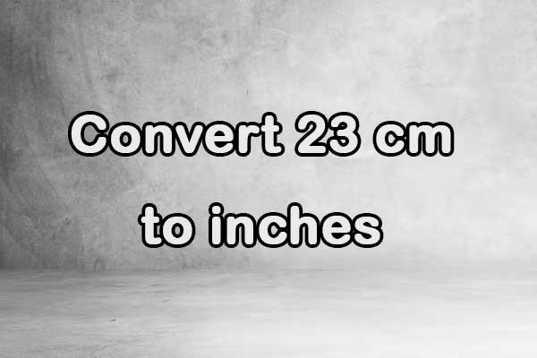 Convert 23 cm to inches