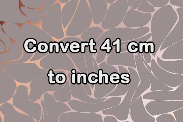 Convert 41 cm to inches