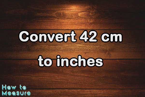 Convert 42 cm to inches