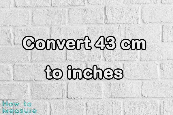 Convert 43 cm to inches