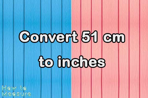 Convert 51 cm to inches