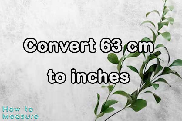 Convert 63 cm to inches