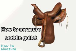 How to measure saddle gullet