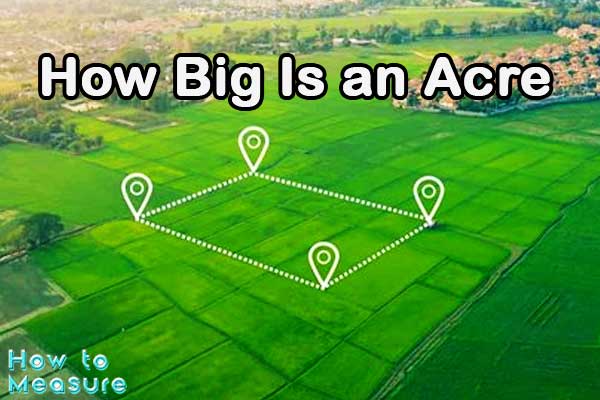 how-much-is-a-quarter-of-an-acre