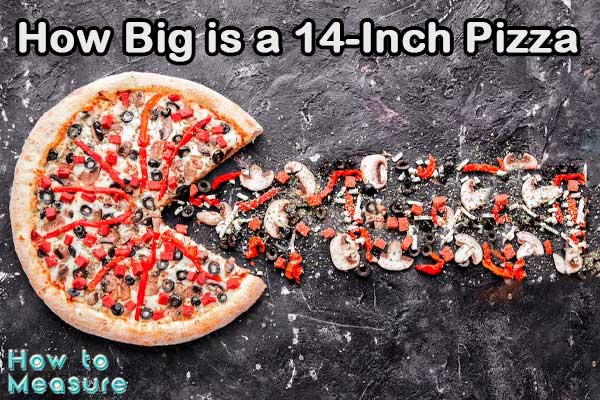 Size Of 14 Inch Pizza 