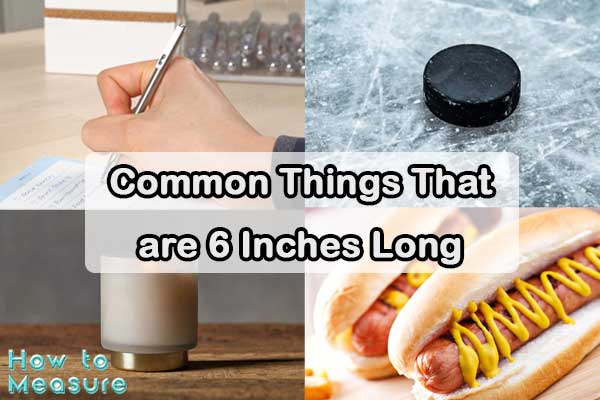 Common Things That are 6 Inches Long
