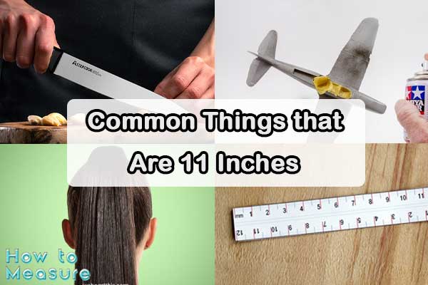 Common Things that Are 11 Inches