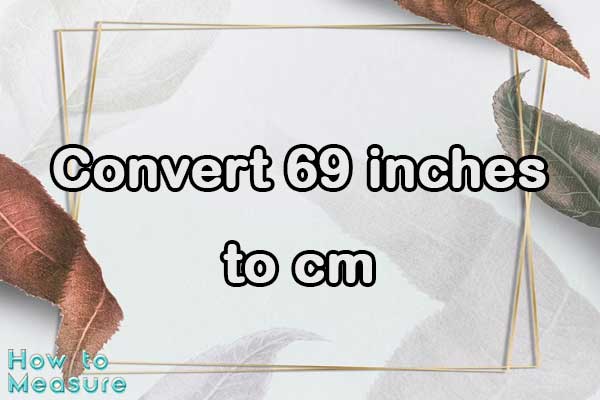 Convert 69 inches to cm