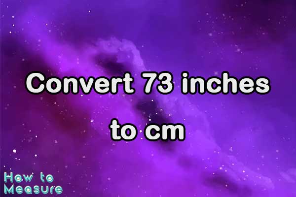Convert 73 inches to cm