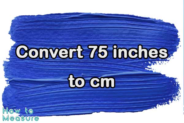 Convert 75 inches to cm