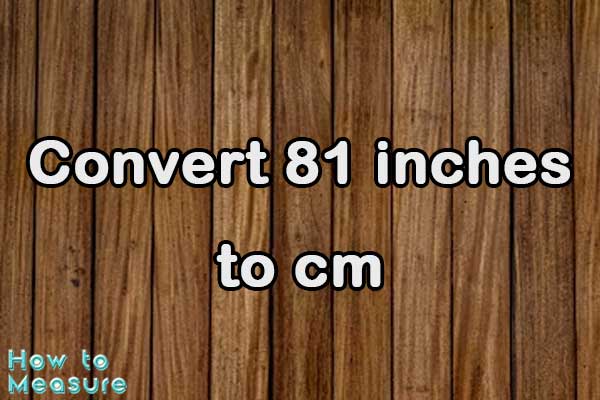 Convert 81 inches to cm