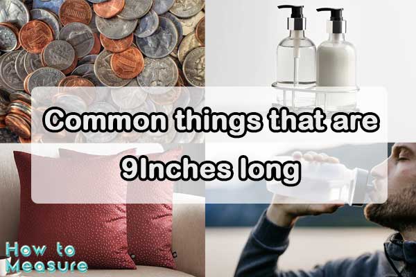 Common things that are 9 Inches long