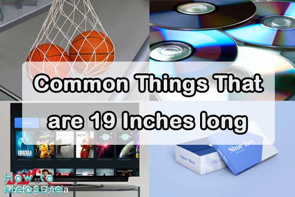 Common Things That are 19 Inches long